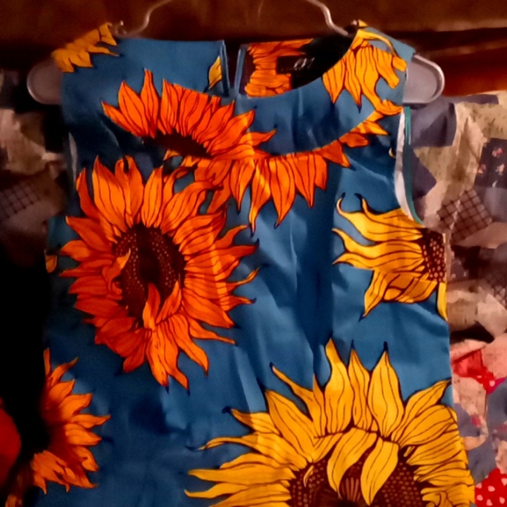 Midnight velvet dress